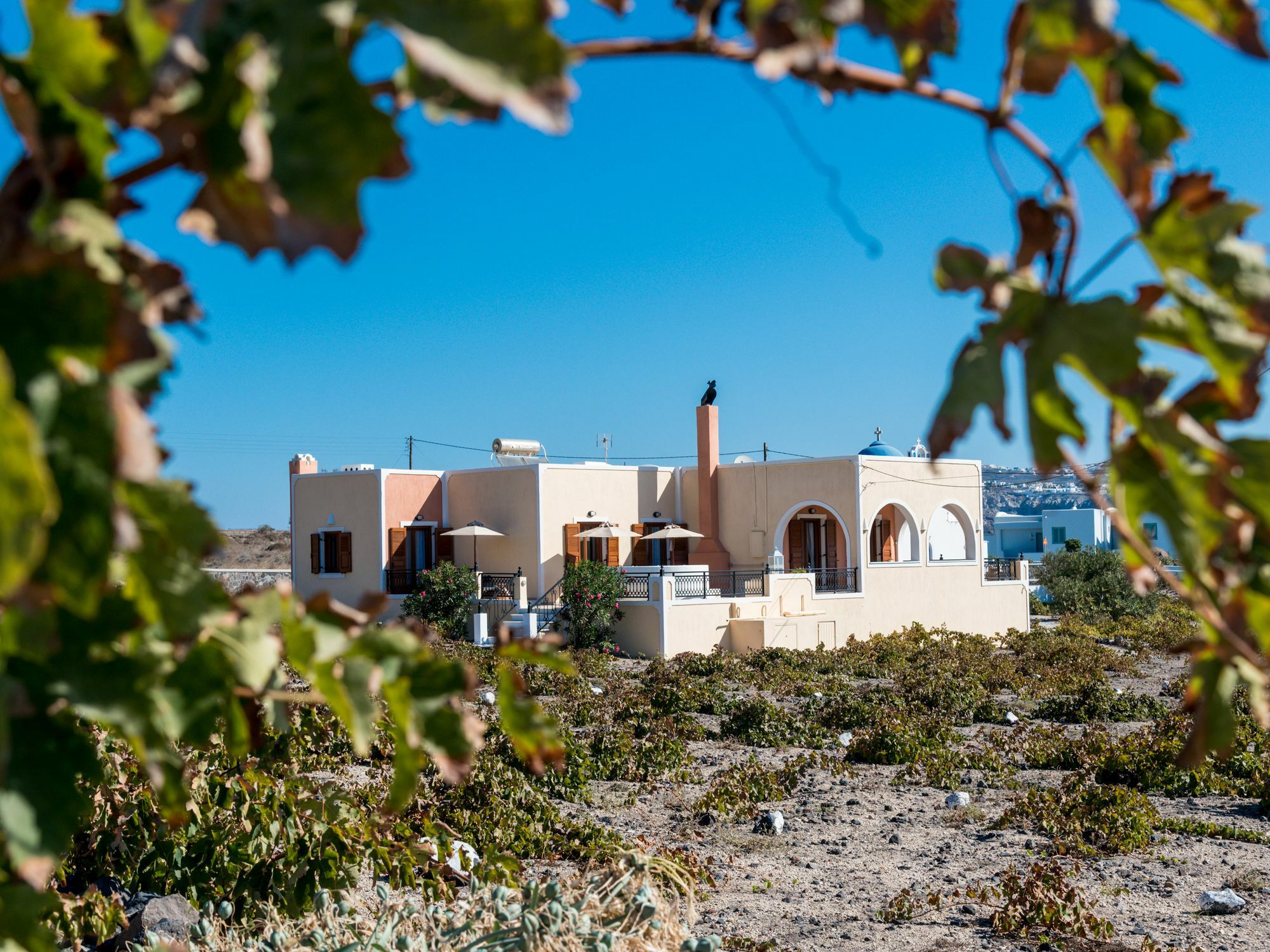 Vineyard Exclusive Suites Akrotírion 外观 照片